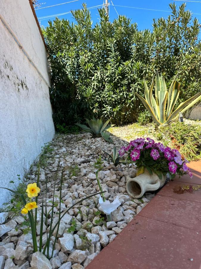 Villa Fiorenza - 100 Mt Dal Mare Castellammare del Golfo Exteriör bild